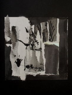 fabienne-payen-artiste - Collages