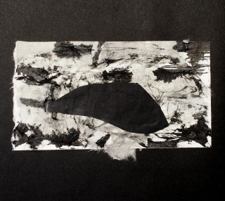 fabienne-payen-artiste - Collages