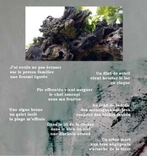 fabienne-payen-artiste - Textes et poésies