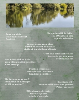 fabienne-payen-artiste - Textes et poésies